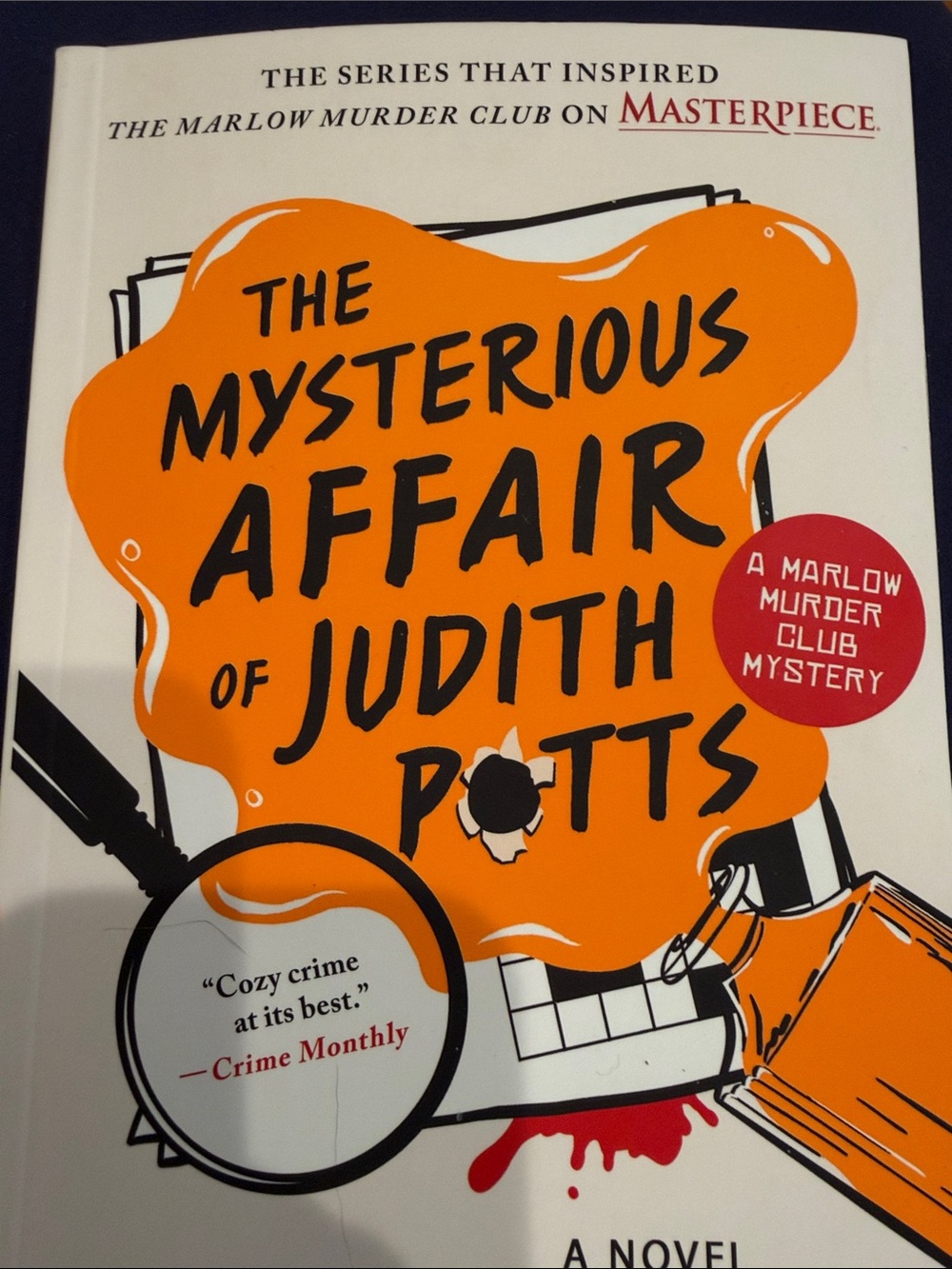 The Mysterious Affair of Judith Potts by Robert Thorogood